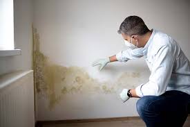 Mold Odor Removal Services in Hawthorne, FL